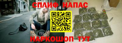 сатива Краснодар