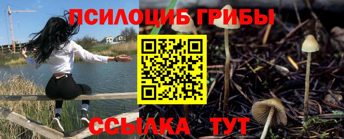 Галлюциногенные грибы Magic Shrooms  Вход с VPN  Елизово  Псилоцибиновые грибы прущие грибы 
